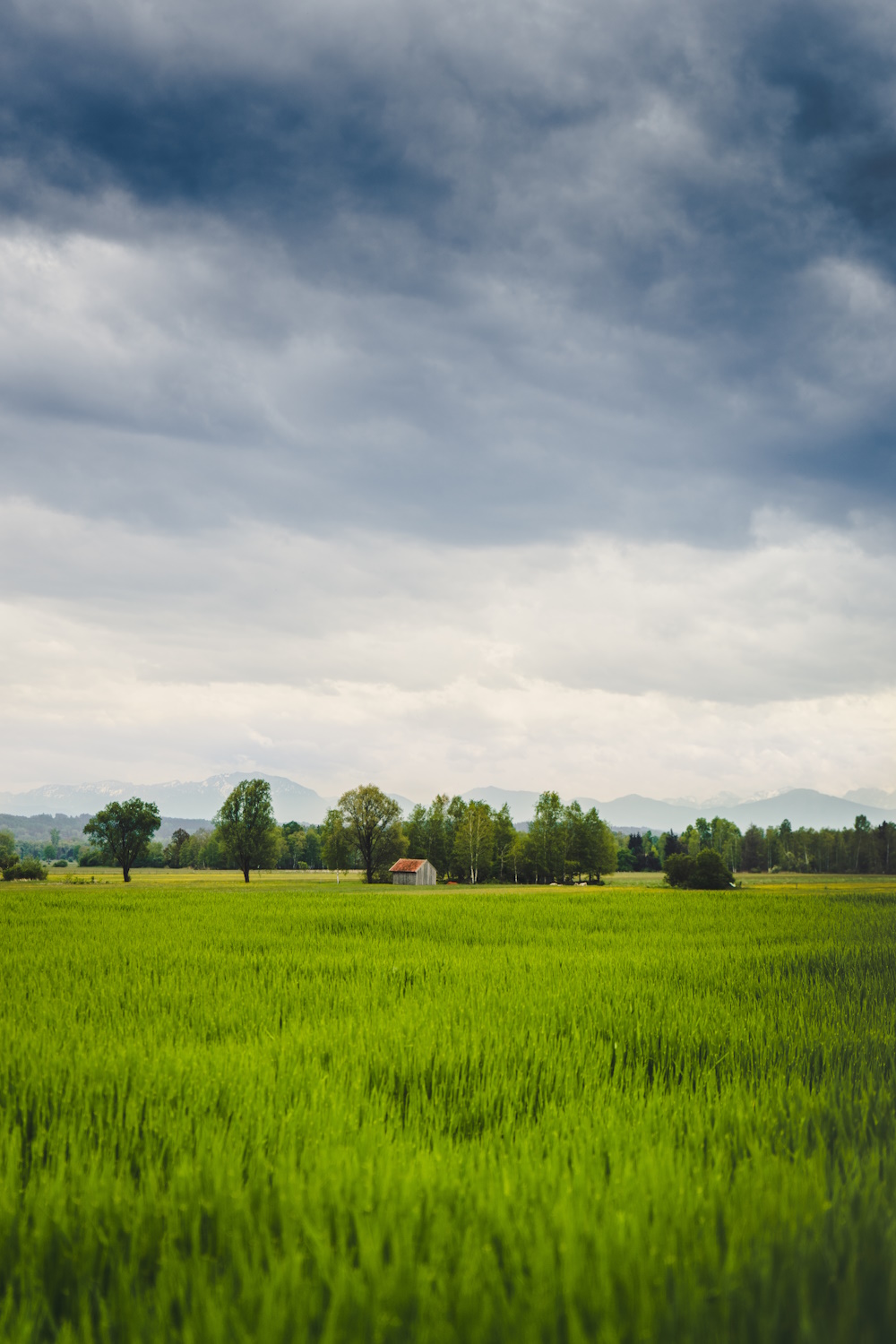 vertical shot beautiful green field with old barn visible distance